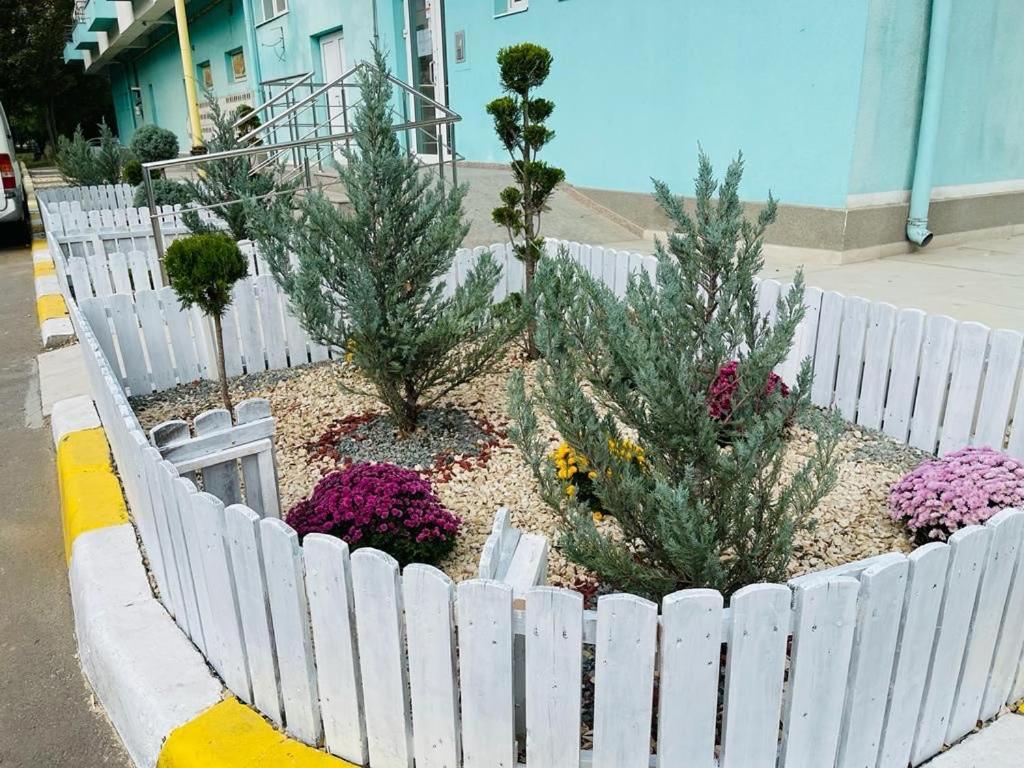 Apartament Summerland Mamaia Nord Zewnętrze zdjęcie